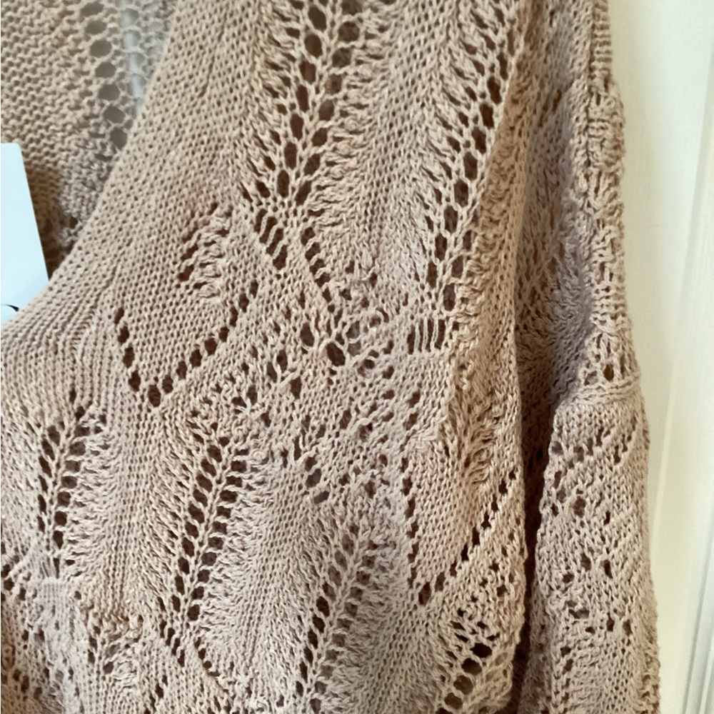 Zara Tan V-Neck Sweater with Open-Knit Design (FINALPRICEDROP ) - Picture 4 of 4